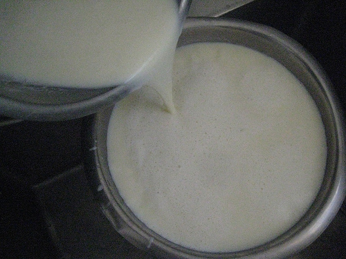 low fat milk